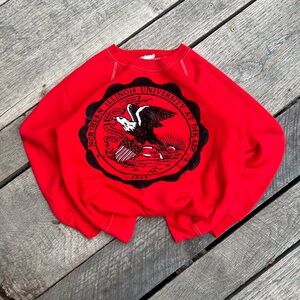 Vintage 70s Northern Illinois University Crewneck Sweatshirt